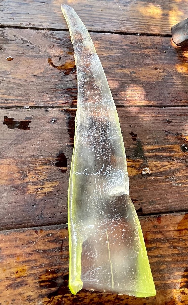 Aloe vera gel — photo 4 of 4