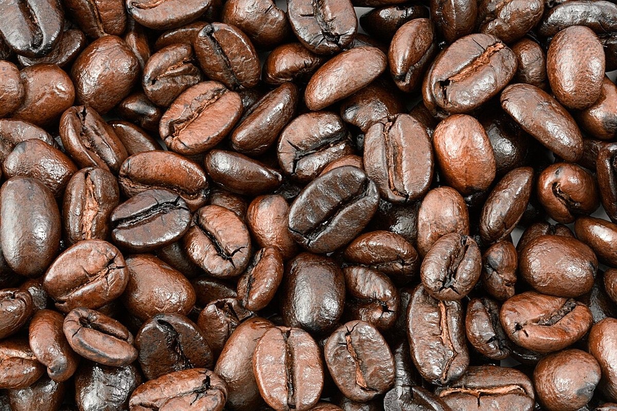 Chipinge coffee beans — photo 2 of 4