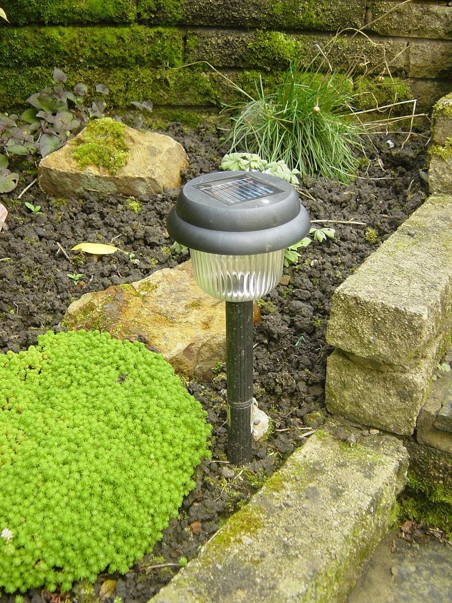 Solar garden lights — photo 2 of 3